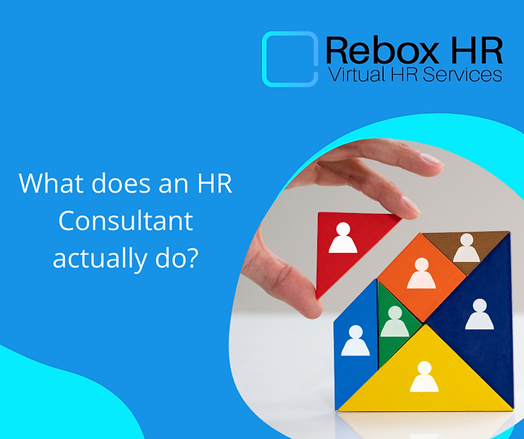 What does a HR consultant do?